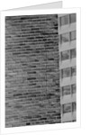 Wall Crack Caused by Earthquake by Anonymous