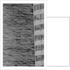 Wall Crack Caused by Earthquake by Anonymous