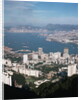 Hong Kong from Victoria Peak by Anonymous