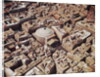 The Pantheon by Anonymous