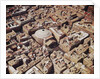 The Pantheon by Anonymous