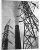Power Lines at a Power Station by Anonymous