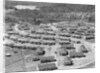 Residential Area near Reynold's Metal Company by Anonymous