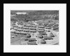 Residential Area near Reynold's Metal Company by Anonymous
