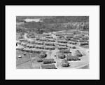 Residential Area near Reynold's Metal Company by Anonymous
