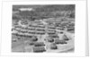 Residential Area near Reynold's Metal Company by Anonymous