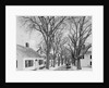 Neighborhood near Passamaquoddy Bay by Anonymous