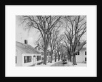 Neighborhood near Passamaquoddy Bay by Anonymous
