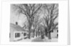 Neighborhood near Passamaquoddy Bay by Anonymous