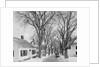 Neighborhood near Passamaquoddy Bay by Anonymous