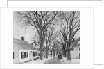 Neighborhood near Passamaquoddy Bay by Anonymous