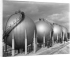 Texaco Oil Refinery by Anonymous