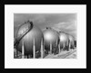 Texaco Oil Refinery by Anonymous
