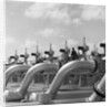 Pipelines at Texaco Oil Refinery by Anonymous