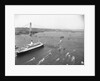 Cruise Ship Entering New York's Harbor by Anonymous