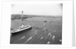 Cruise Ship Entering New York's Harbor by Anonymous