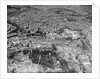Aerial View of Roman Forum, Theater of Marcellus and Vicinity by Anonymous