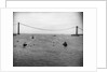 Verrazano-Narrows Bridge Under Construction by Anonymous