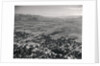 Aerial View of Outskirts of Town by Anonymous