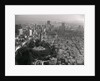 Aerial View of Telegraph Hill and Coit Tower by Anonymous