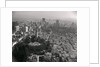 Aerial View of Telegraph Hill and Coit Tower by Anonymous