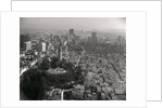 Aerial View of Telegraph Hill and Coit Tower by Anonymous