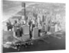 Aerial Views of New York City by Anonymous