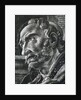 St. Augustine by Anonymous