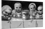 Trading Card Advertisement for Gail Borden Eagle Brand Condensed Milk by Anonymous