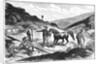 Henry T. P. Comstock Discovers Silver by Anonymous
