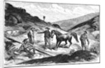 Henry T. P. Comstock Discovers Silver by Anonymous