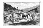 Henry T. P. Comstock Discovers Silver by Anonymous