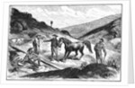 Henry T. P. Comstock Discovers Silver by Anonymous