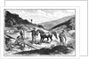 Henry T. P. Comstock Discovers Silver by Anonymous