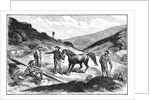 Henry T. P. Comstock Discovers Silver by Anonymous