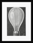 Early Light Bulb by Anonymous