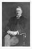 John Cecil Rhodes by Anonymous