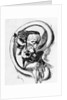Caricature of the Human Ear by Anonymous