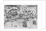 Detail of The Arrival of the Englishmen in Virginia by Theodor de Bry