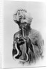 Indian Snake Charmer with Reptile up His Nose by Anonymous