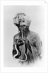 Indian Snake Charmer with Reptile up His Nose by Anonymous