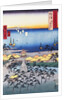 Demi Beach at Sumiyoshi in Settsu Province by Hiroshige