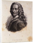 Portrait of Voltaire by Anonymous