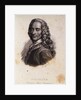 Portrait of Voltaire by Anonymous