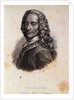 Portrait of Voltaire by Anonymous
