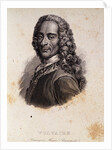 Portrait of Voltaire by Anonymous