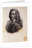 Portrait of Voltaire by Anonymous