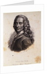 Portrait of Voltaire by Anonymous