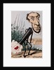 Caricature of Victor Schoelcher by Alfred Le Petit