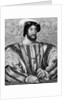 Francois I by Delannoy